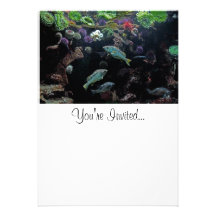 Fische und Unterwasserwasserleben-Foto Individuelle Einladung