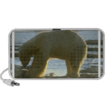 Fischen-Eisbär Notebook Speaker