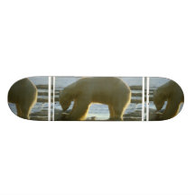 Fischen-Eisbär-Skateboard Skateboard Bretter