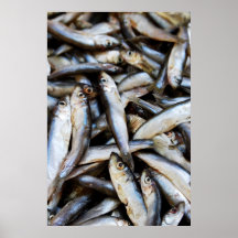 Fischt Nahaufnahmeplakat