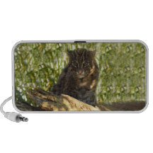 FishingCat006 Speaker
