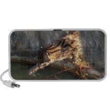FishingCat009 Laptop Lautsprecher