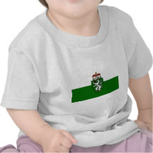 Flagge Steiermarks (Staat), Österreich Shirts