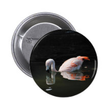 Flamingo-Reflexion Buttons