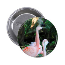 Flamingos im Park 3 Anstecknadelbuttons