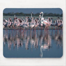 Flamingos Mauspad