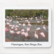 Flamingos mousepad