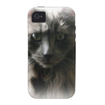 Flaumiges graues Katzenaugen iphone starker Fall Case-Mate iPhone 4 Hüllen