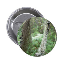 Flechten auf Baum Buttons
