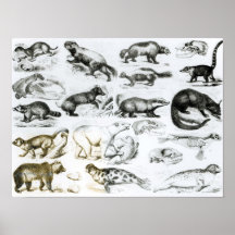Fleisch fressende Tiere Poster