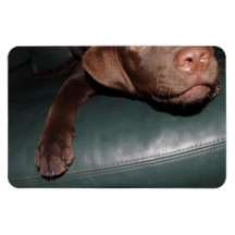 Flexi Magnet Labrador Lorenzo