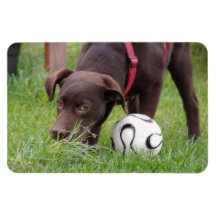 Flexi Magnet Labrador Lorenzo