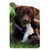 Flexi Magnet Labrador Lorenzo