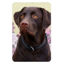 Flexi Magnet Labrador Lorenzo