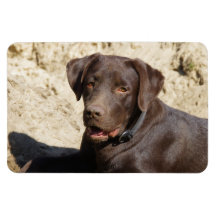 Flexi Magnet Labrador Lorenzo