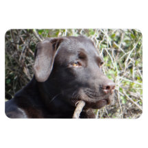 Flexi Magnet Labrador Lorenzo