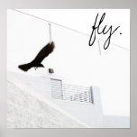 Fliege Plakate