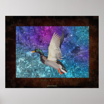 Fliegen-Stockenten-Enten-Drake-Kunst-Plakat II