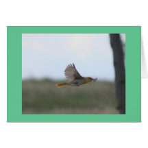 Fliegender düsterer Flycatcher Grußkarten