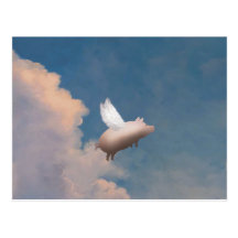 Fliegenschweinpostkarte
