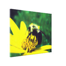 Flockige Hummel-Leinwand Gespannter Galerie Druck