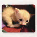 Flockiges Gold I Mousepad