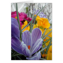Flora für Frühling #3 Grußkarte