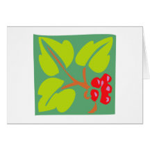 florales Ornament floral quadrat square Grußkarten