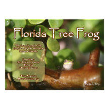 Florida-Baum-Frosch-Entwurf mit Erklärungstext Einladungskarte