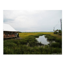 Florida-Landschaft Postkarten
