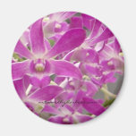Florida-Orchideen Magnete