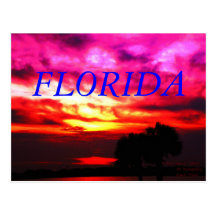FLORIDA POSTKARTEN