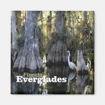 Floridaeverglades-Foto-Andenken-Kühlschrankmagnet