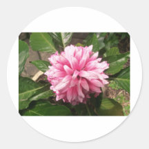 flower runde aufkleber