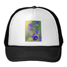 flowers.jpg kultcaps