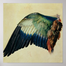Flügel einer blauen Rolle, 1512 Plakat