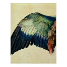 Flügel einer blauen Rolle, 1512 Postkarte
