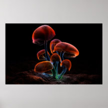 Fluoreszenz (2009) posterdrucke