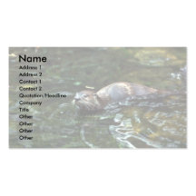 Fluss-Otter Visitenkartenvorlagen