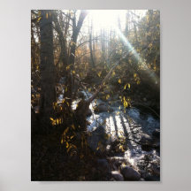 Fluss Posterdrucke
