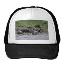 Flusspferde - im Fluss Truckercap