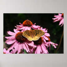 "Flutterby zwei " Plakatdrucke