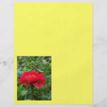 Flyer/betender Mantis und Zinnia