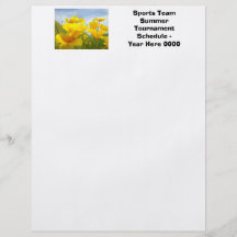 Flyer-kundenspezifisches Sport-Team-Sommer-Turnier
