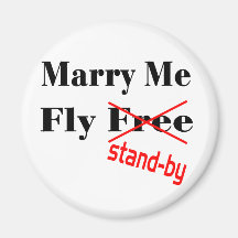 flyfree magnete