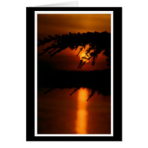 Föhre mit Sonnenuntergang Karte