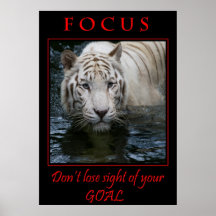 Fokus-motivierend Plakat