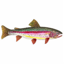 Forelle-Fliegen-Fischen Ausschnitt