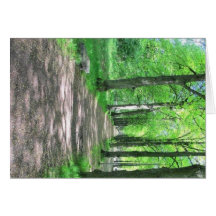 Forest walk card
