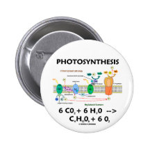 Formel der Fotosynthese-(Chemikalie) Anstecknadelbuttons